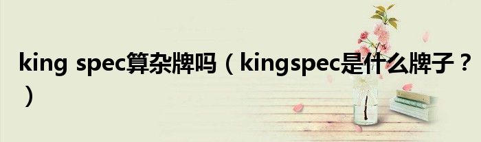 king spec算杂牌吗（kingspec是什么牌子？）