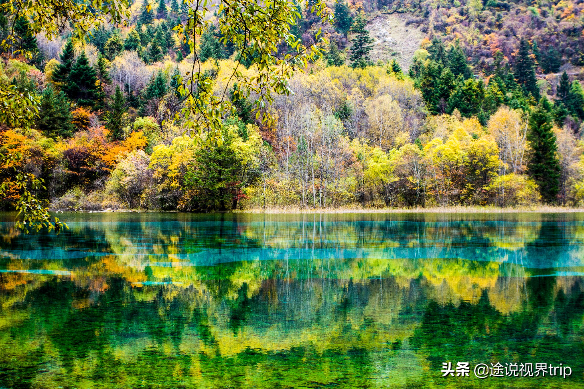 世间最美的九寨沟，无比震撼的人间仙境，来了就不想离开的地方