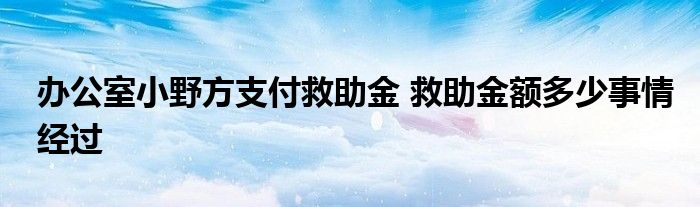 办公室小野方支付救助金 救助金额多少事情经过