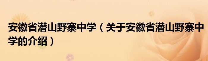 安徽省潜山野寨中学（关于安徽省潜山野寨中学的介绍）