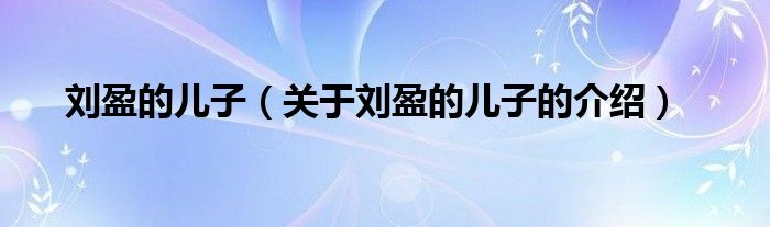 刘盈的儿子（关于刘盈的儿子的介绍）