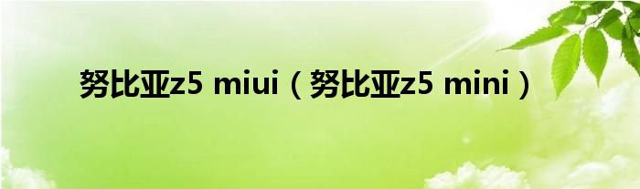 努比亚z5 miui（努比亚z5 mini）