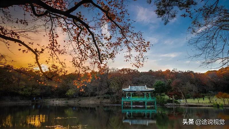 南京好玩的地方排行榜前十名（南京必去的十大网红打卡景点）