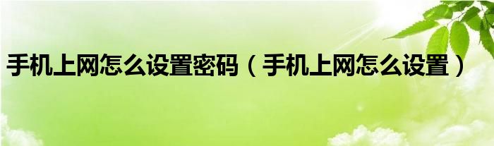 手机上网怎么设置密码（手机上网怎么设置）