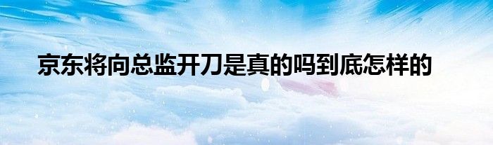 京东将向总监开刀是真的吗到底怎样的