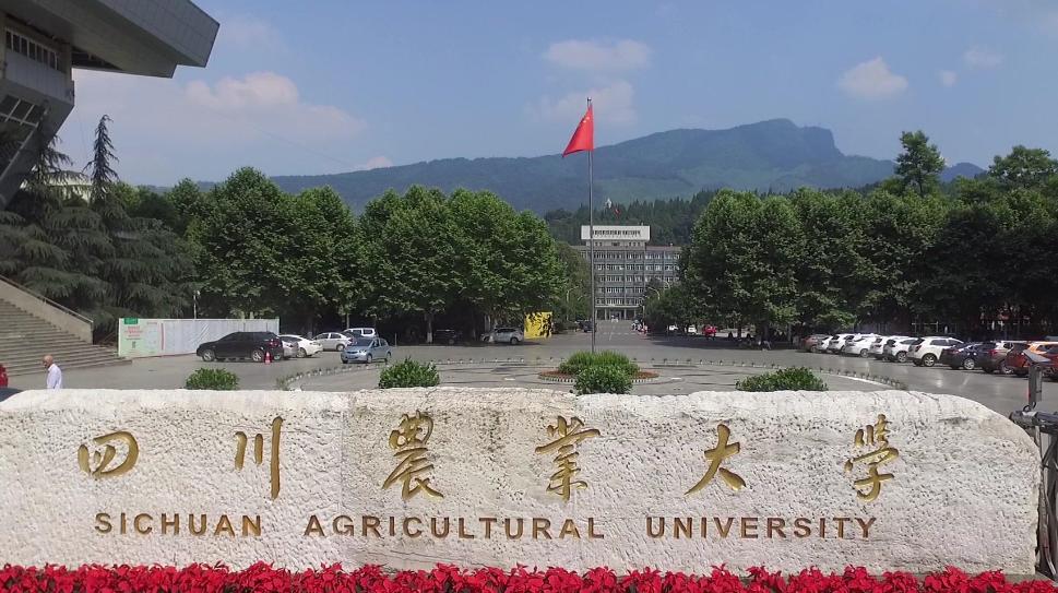 图片[6]-四川省的大学排名榜(四川排名前五的大学)-欣欣百科网