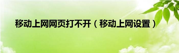 移动上网网页打不开（移动上网设置）