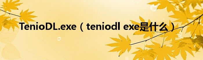 TenioDL.exe（teniodl exe是什么）