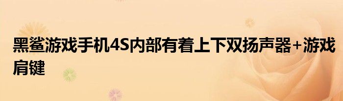 黑鲨游戏手机4S内部有着上下双扬声器+游戏肩键