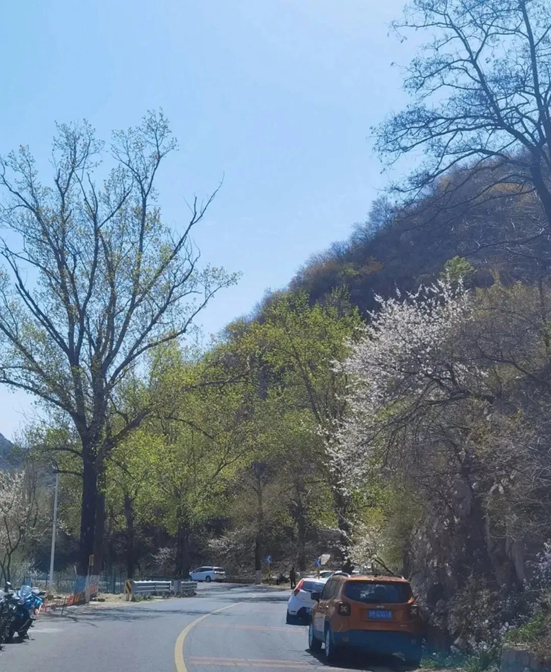 北京五一旅游攻略必去景点（北京一日游最佳景点大全）