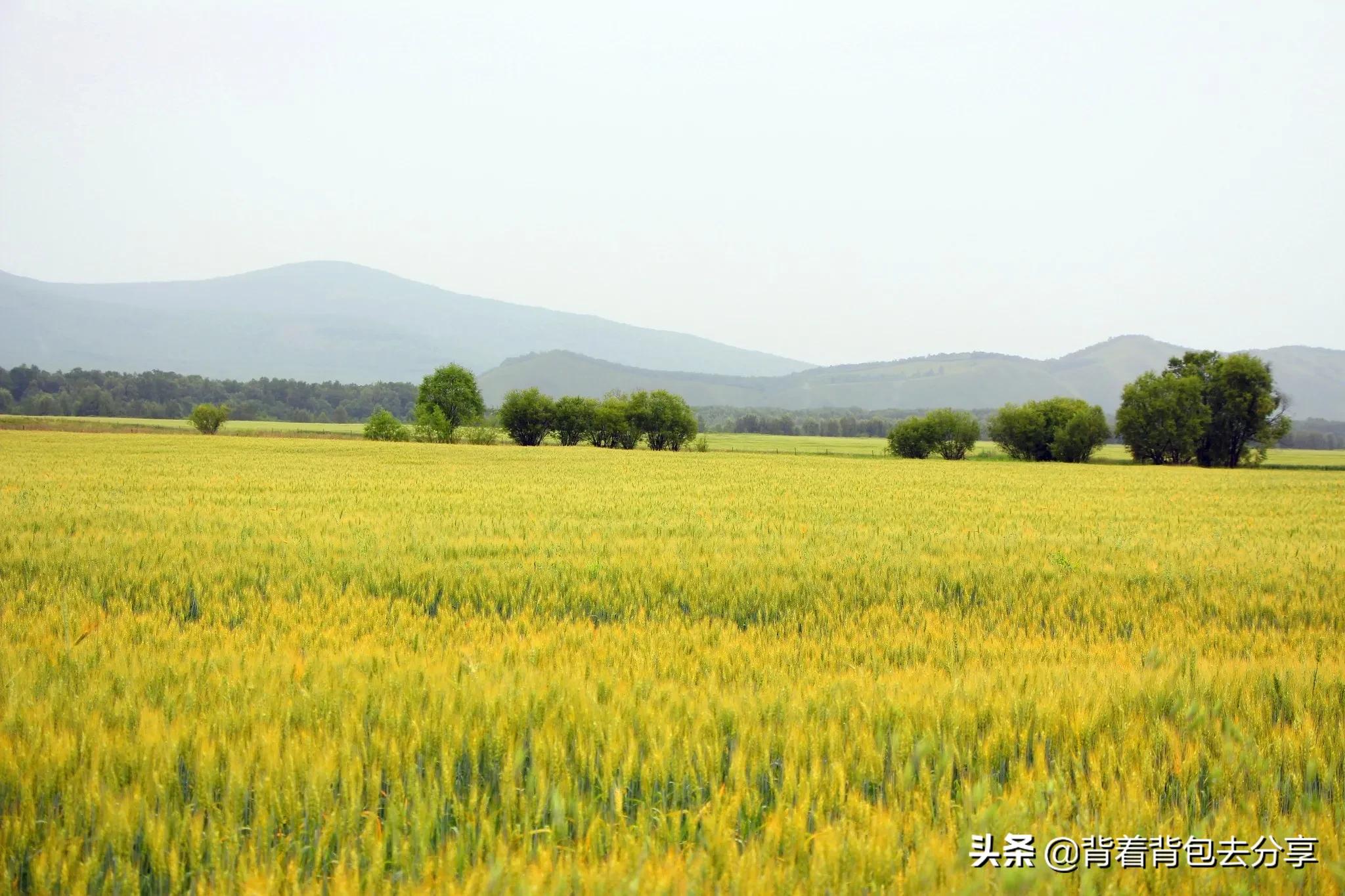 内蒙古必游的十大景点，去过9处，才算真正的玩转内蒙古