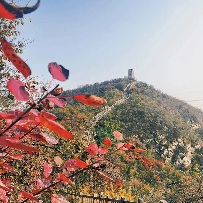 北京五一旅游攻略必去景点（北京一日游最佳景点大全）