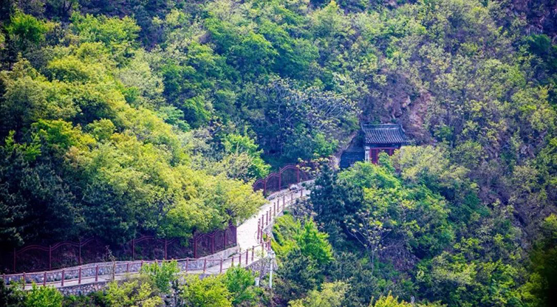 北京五一旅游攻略必去景点（北京一日游最佳景点大全）