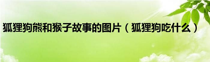 狐狸狗熊和猴子故事的图片（狐狸狗吃什么）