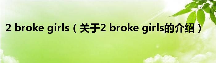 2 broke girls（关于2 broke girls的介绍）