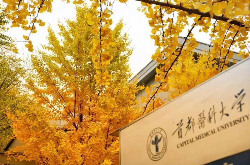 医科大学全国排名（中国最好的医科大学前十名）