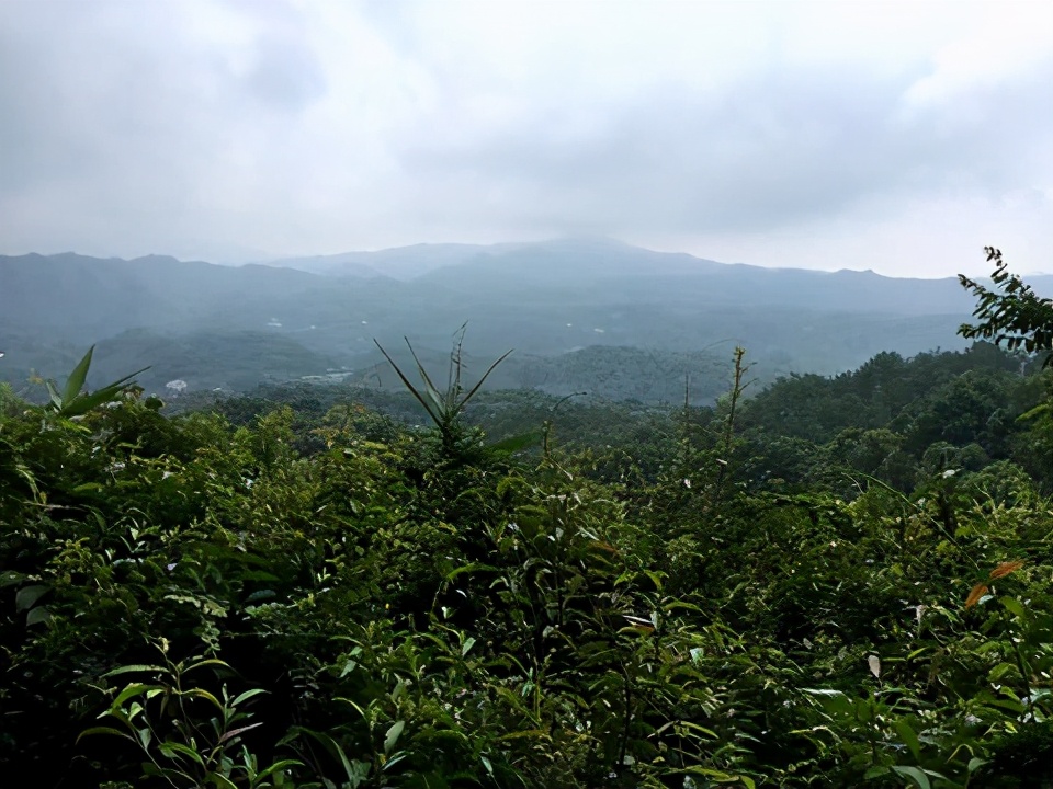 广西玉林十大旅游景点（玉林一日游必去的好玩景点推荐）