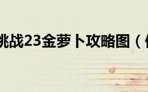 保卫萝卜挑战23金萝卜攻略图（保卫萝卜挑战23）