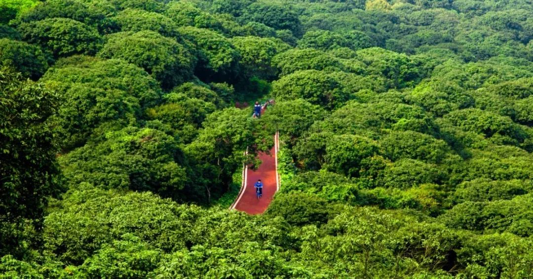 打卡12条漳州乡村精品旅游线路，体验一场秋天的乡村游......