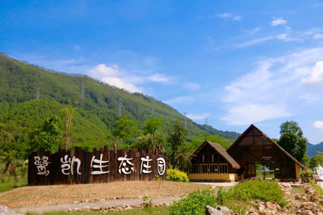 打卡12条漳州乡村精品旅游线路，体验一场秋天的乡村游......