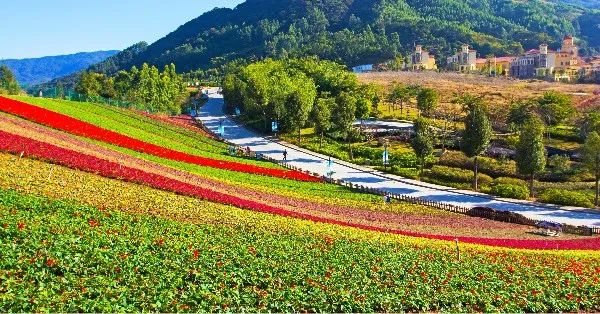 打卡12条漳州乡村精品旅游线路，体验一场秋天的乡村游......