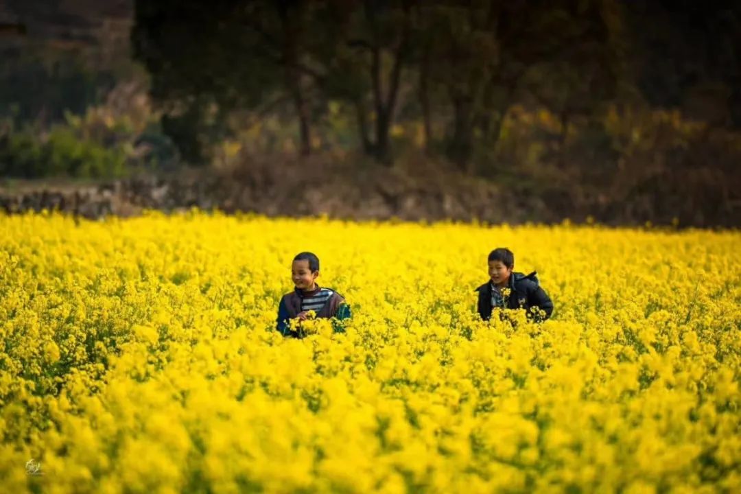 打卡12条漳州乡村精品旅游线路，体验一场秋天的乡村游......