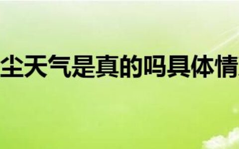 辽宁多地沙尘天气是真的吗具体情况是什么