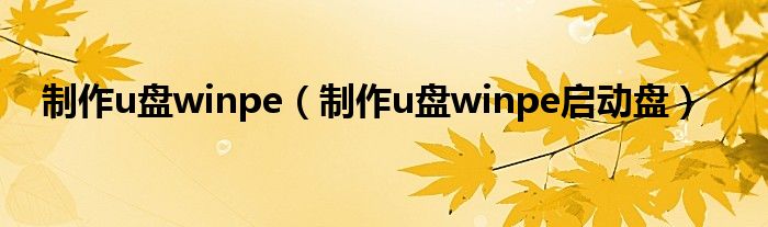 制作u盘winpe（制作u盘winpe启动盘）