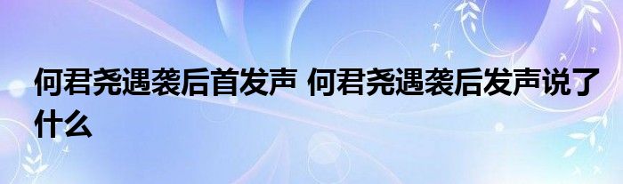 何君尧遇袭后首发声 何君尧遇袭后发声说了什么