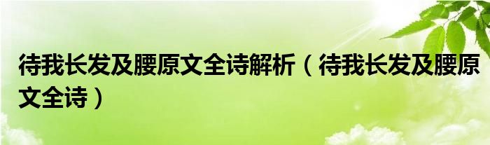 待我长发及腰原文全诗解析（待我长发及腰原文全诗）