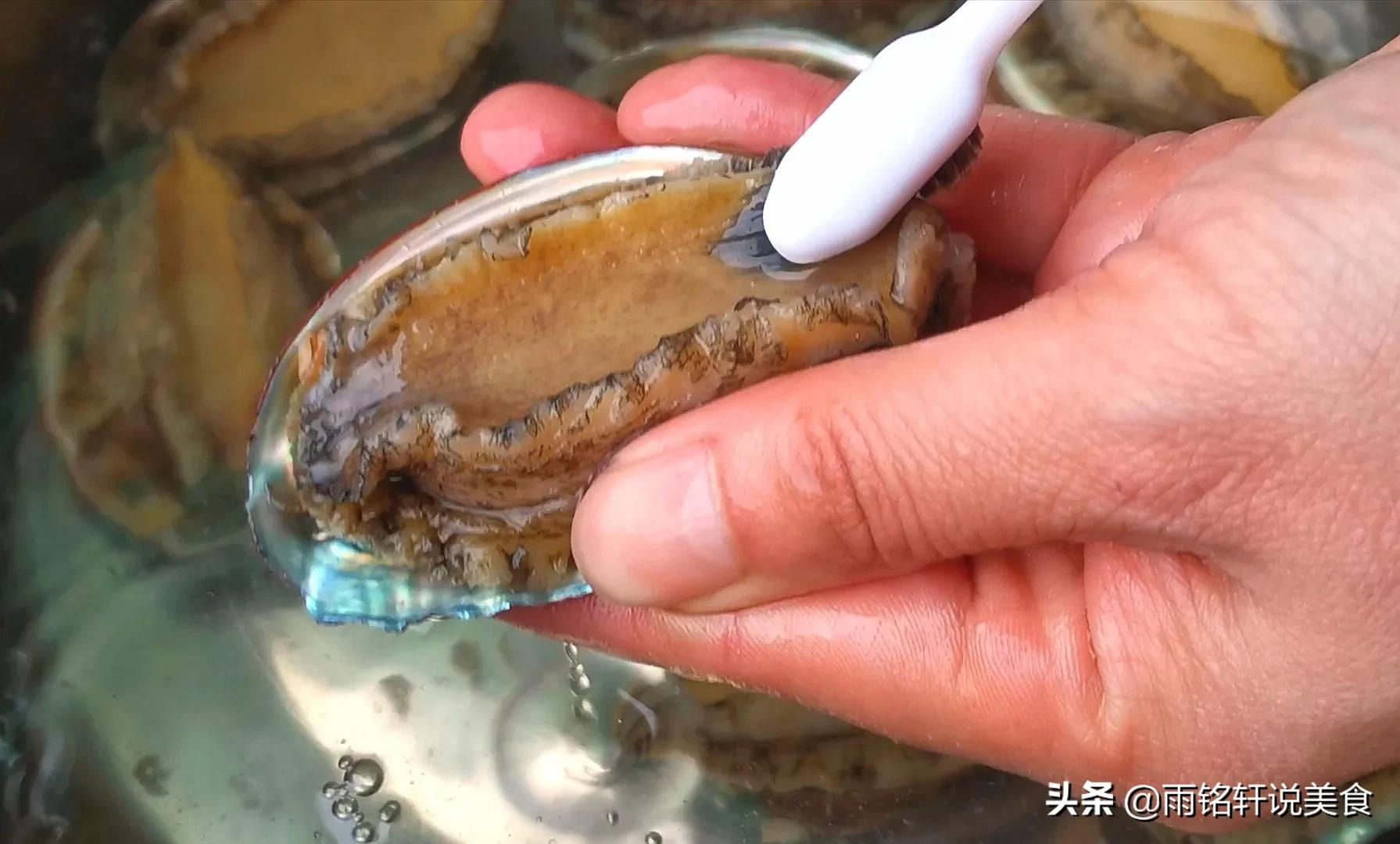 鲍鱼怎么做才好吃？饭店大厨教我秘诀，蒜香浓郁，好吃的停不下来