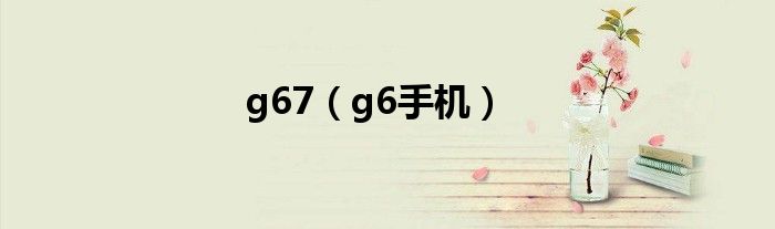 g67（g6手机）