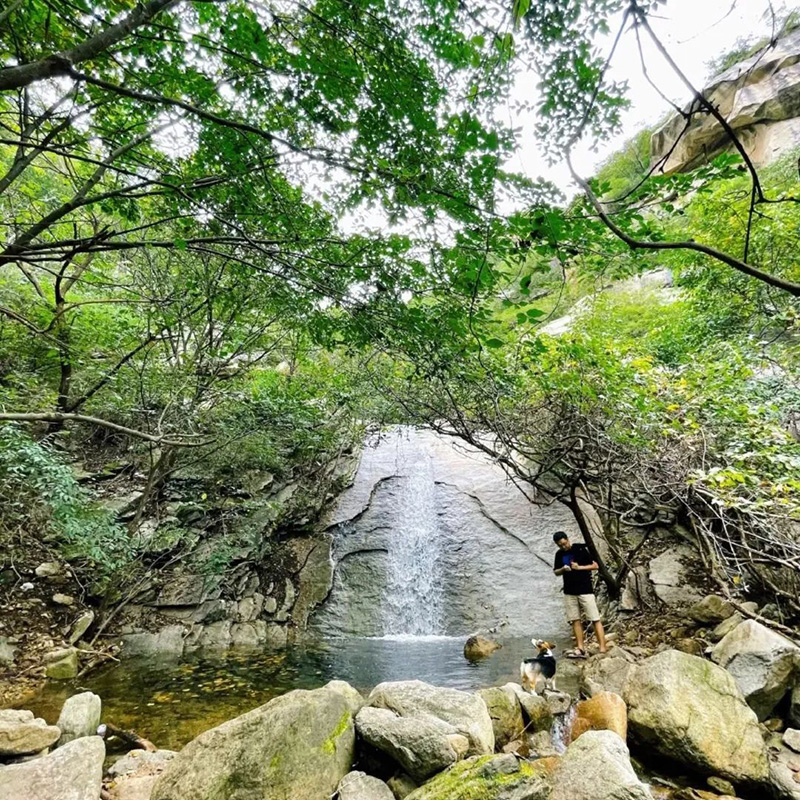 北京五一旅游攻略必去景点（北京一日游最佳景点大全）