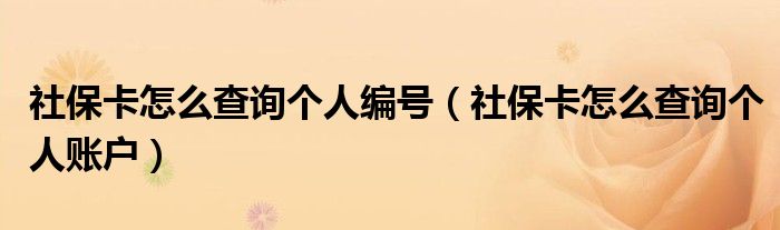 社保卡怎么查询个人编号（社保卡怎么查询个人账户）