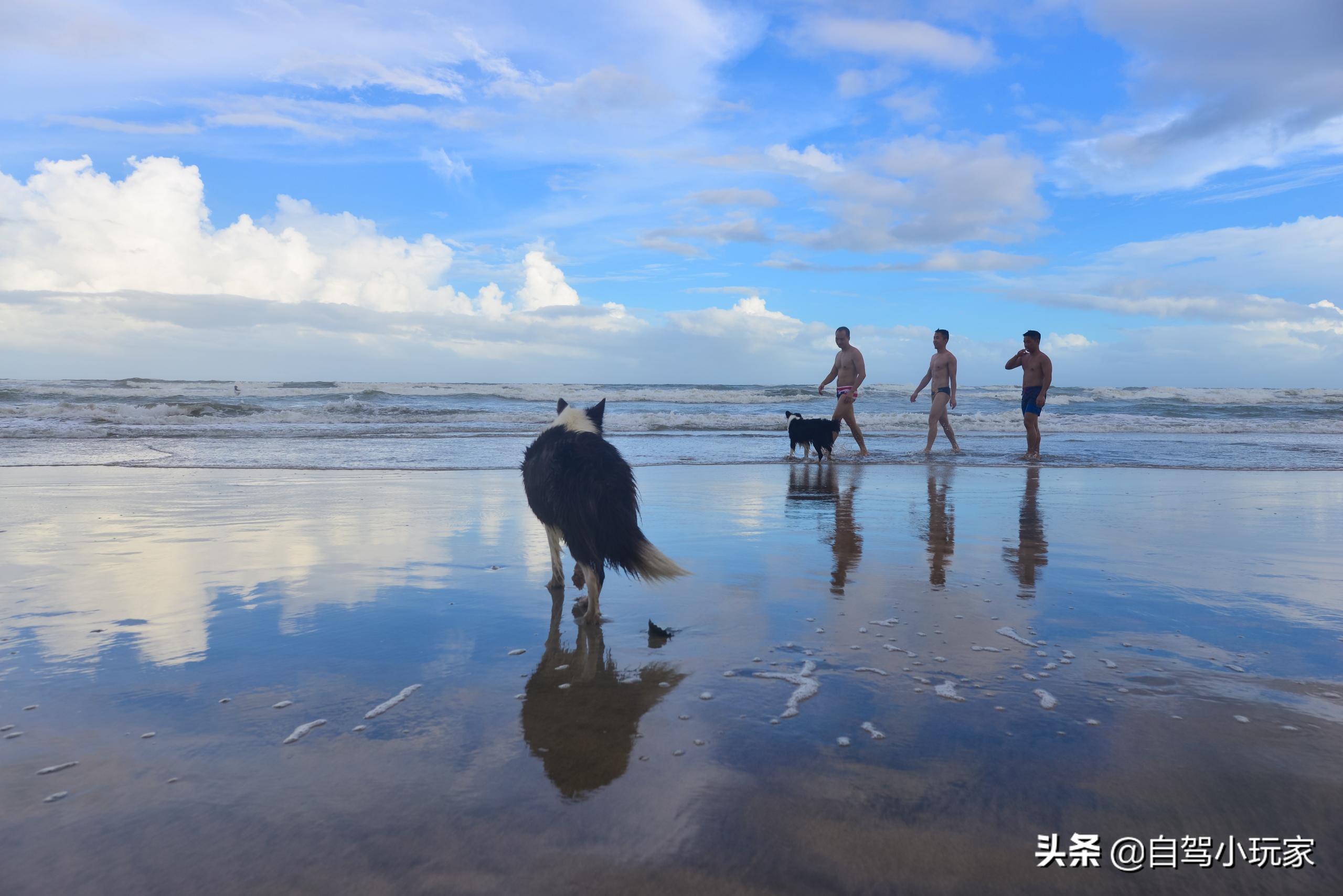 惠州最美十大海滩排名（惠州最适合看海的免费海滩）