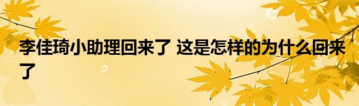 李佳琦小助理回来了 这是怎样的为什么回来了