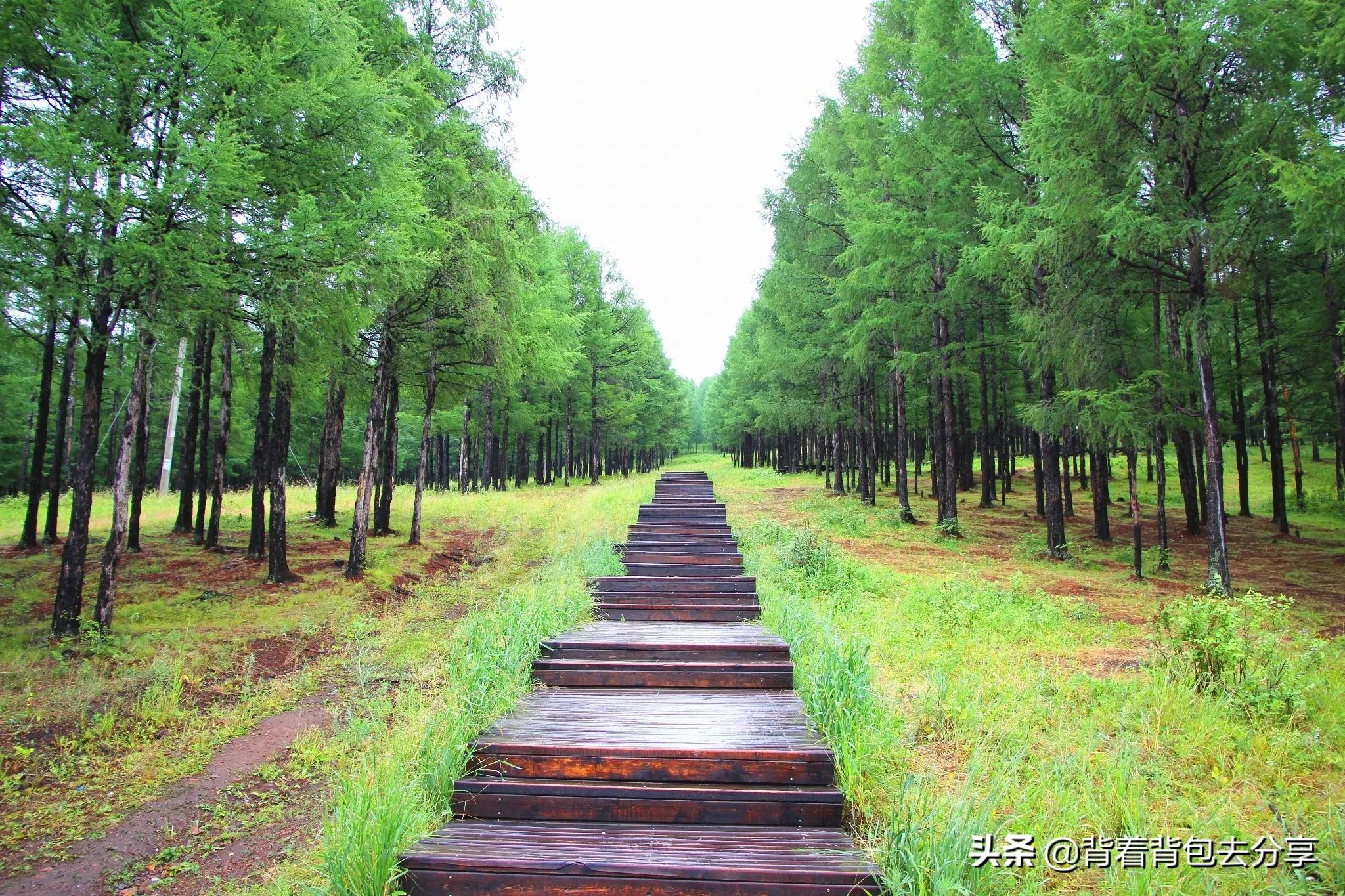 内蒙古必游的十大景点，去过9处，才算真正的玩转内蒙古