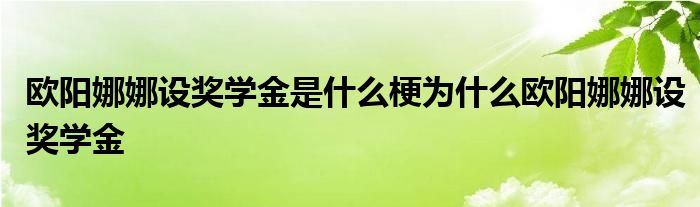 欧阳娜娜设奖学金是什么梗为什么欧阳娜娜设奖学金