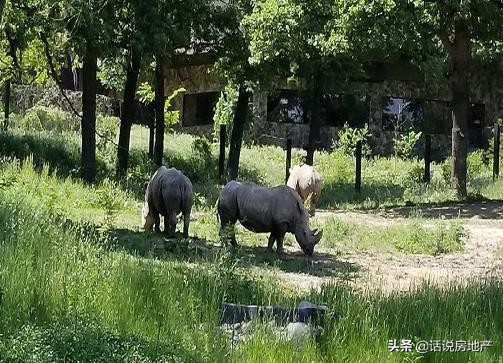 图片[1]-动物园排名前十名(世界十大最佳动物园排行)-欣欣百科网