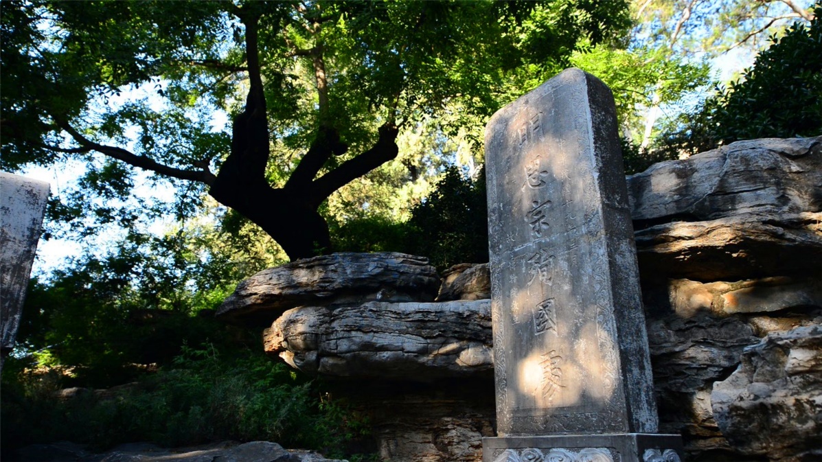 崇祯帝煤山自尽是哪一年（吊死歪脖树的崇祯帝是不是明君）