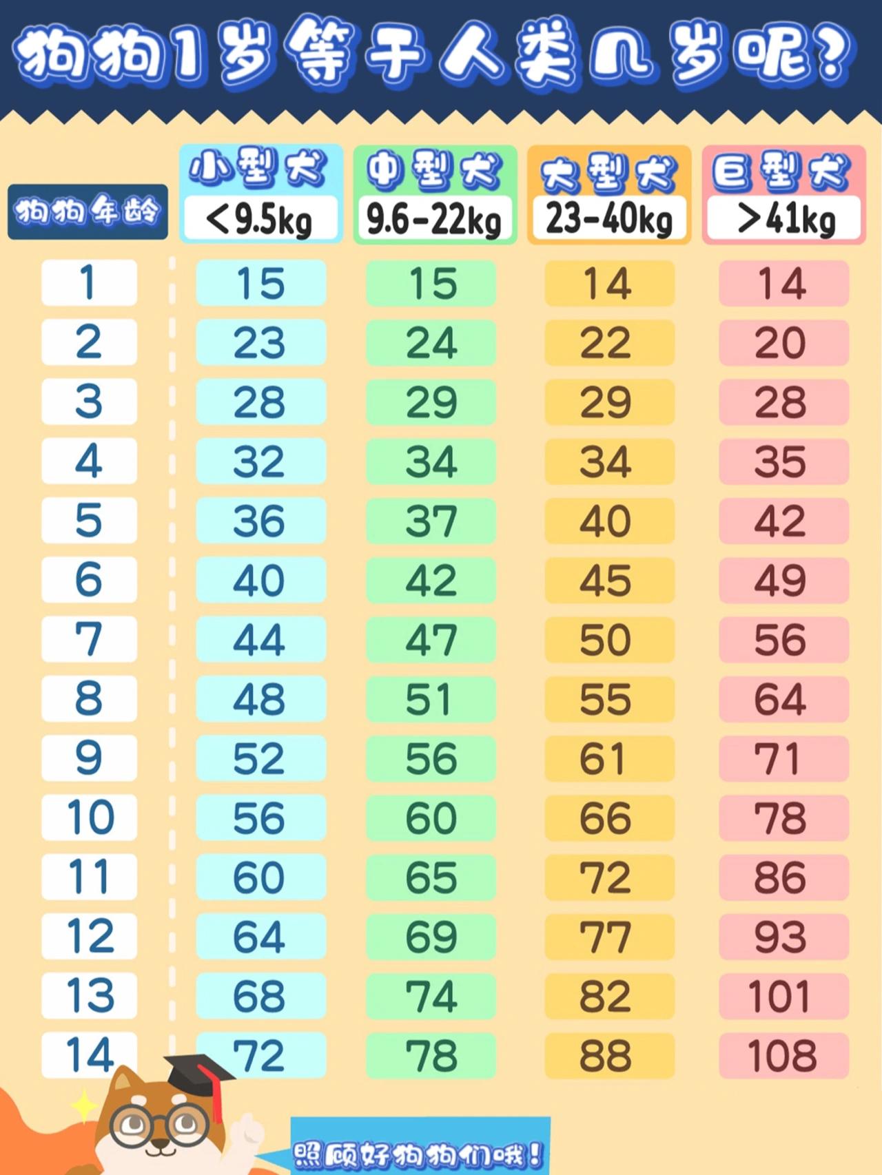 狗一年相当于几岁（狗活一年相当于人活几年）