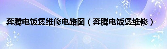 奔腾电饭煲维修电路图（奔腾电饭煲维修）