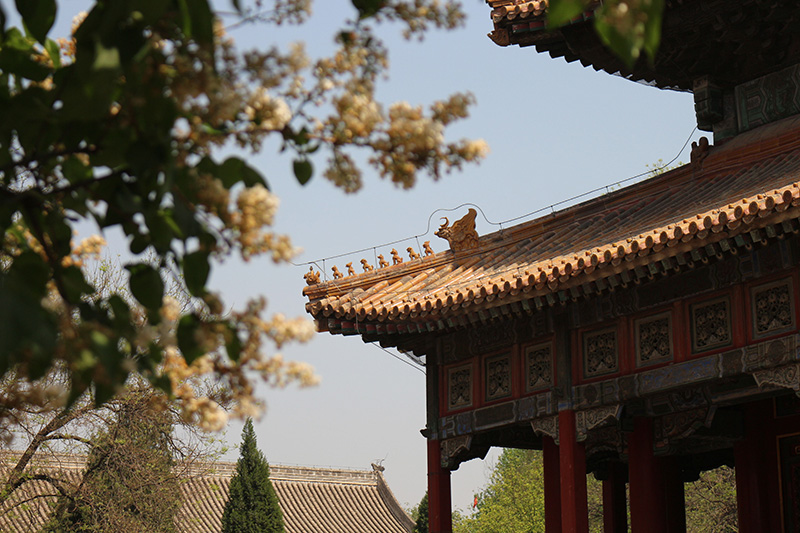 北京五一旅游攻略必去景点（北京一日游最佳景点大全）