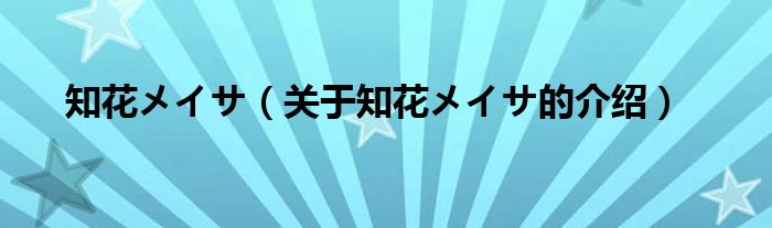 知花メイサ（关于知花メイサ的介绍）