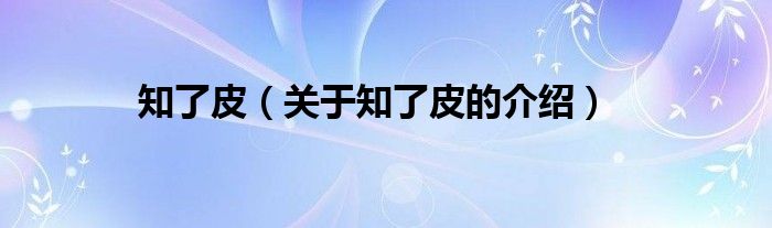 知了皮（关于知了皮的介绍）