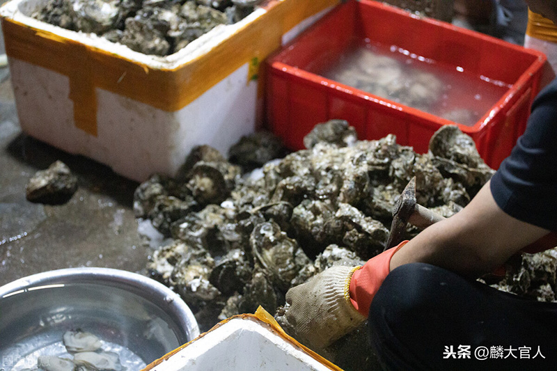 海蛎和生蚝的区别在哪里（海蛎和生蚝对比谁更好吃）