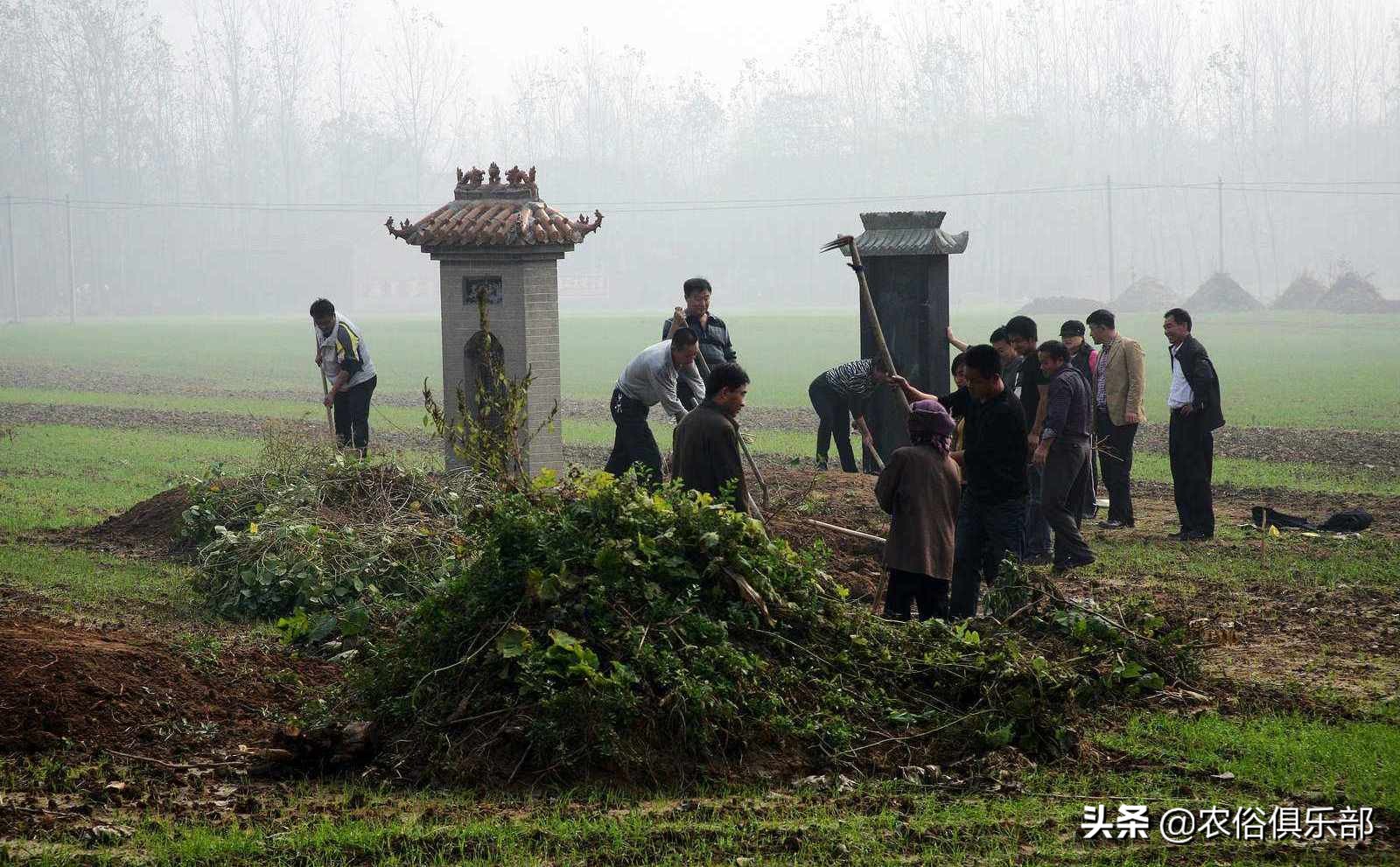 坟头塌消子孙稀，坟上无草绝家资！这句农村俗语，有道理却不全对