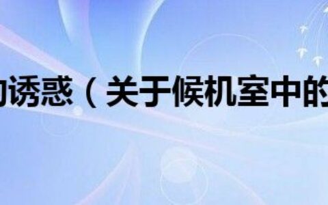 候机室中的诱惑（关于候机室中的诱惑的介绍）