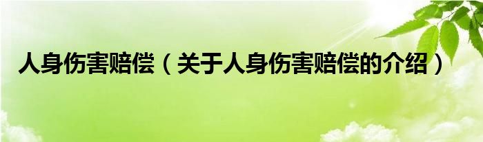 人身伤害赔偿（关于人身伤害赔偿的介绍）