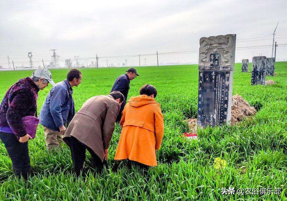 坟头塌消子孙稀，坟上无草绝家资！这句农村俗语，有道理却不全对